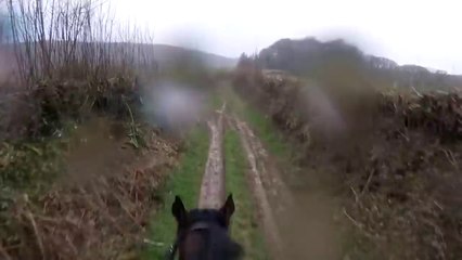 Quand ton cheval ne veut pas s'arreter... Chute douloureuse
