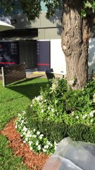 Dans les paddocks du Grand Prix de Melbourne
