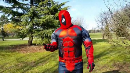 SPIDERMAN vs Leprechaun - Magic Coins - Superheroes Change Colors In Real Life - Pranks IRL-02