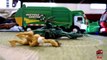 Garbage Truck Videos For Children l TOY TRUCK BATTLE Jumping Ramps l Garbage Trucks Rule-S