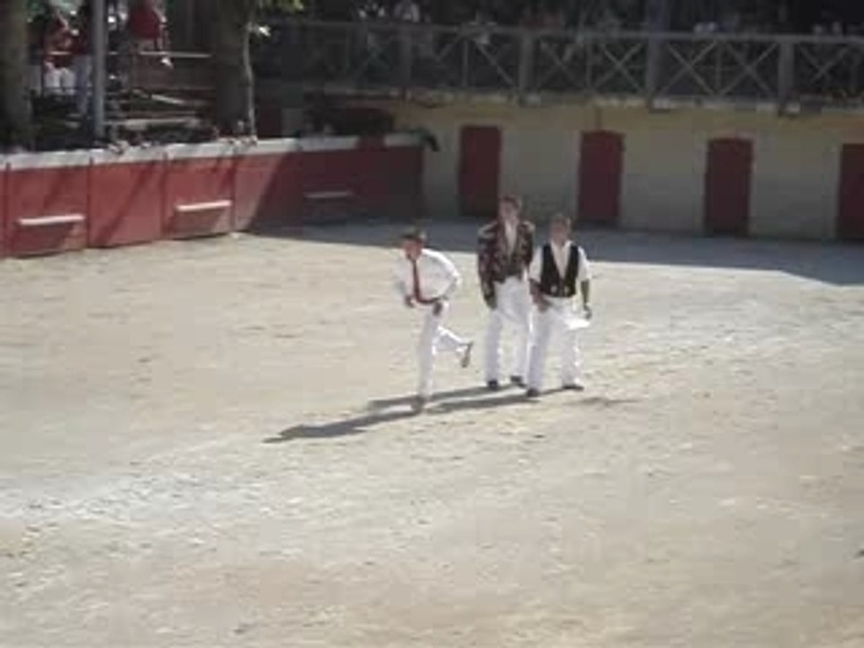 Saut périlleux vrillé