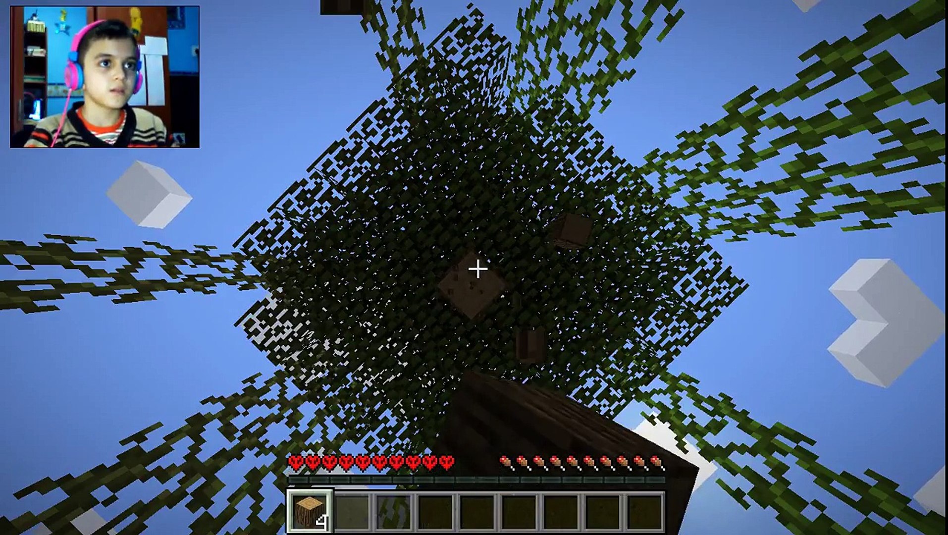 Minecraft HardCore Survival #1