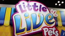 Little Live Pets TOY FAIR 2016 Tweet Talking Bird, Lil Frog, Turtle, Mouse, Snuggles Puppy-aPADY9