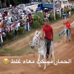 ACCIDENTADA CARRERA DE BURROS!!!