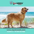 Best Dry Dog Food For Dog - 4Petneeds