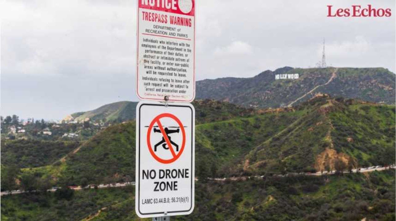 Le drone qui servait à intercepter les drones