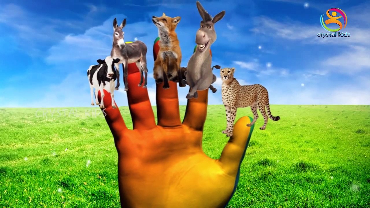 3d Animals Finger Family English rhymes with New lyrics | 3d Animals Collection