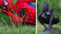 Little Heroes Carnage Vs Spiderman & Venom - In Real Life Superhero Tag Battle!