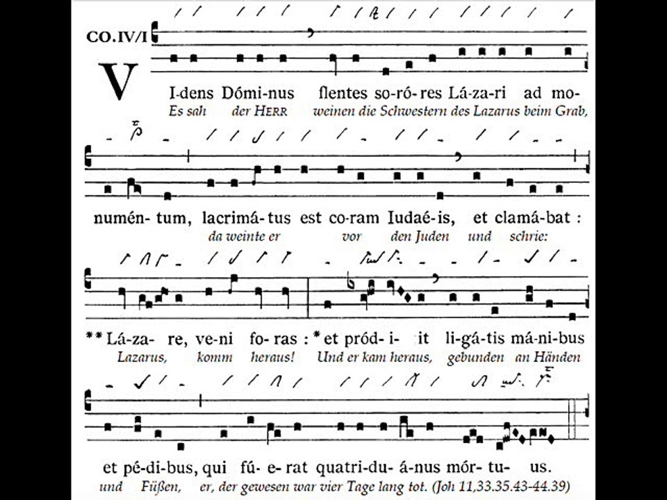 Communio Videns Dominus, Dominica V Quadragesimae (5 Carême)