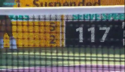 Tennis - Un iguane fait le show sur le terrain lors du tournoi de Miami