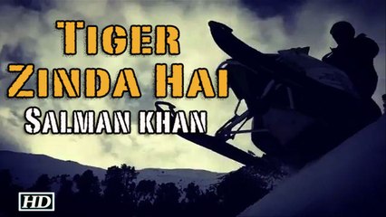 Tiger Zinda Hai | Watch Salman Khan's first action sequence