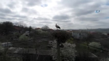 İstanbul'un "Leylekli Köyü" Havadan Görüntülendi
