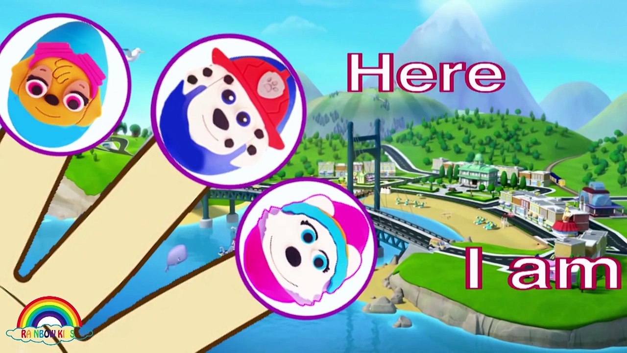 Paw Patrol Drawing Finger Family Songs - Daddy Finger Family Nursery Rhymes Lyrics & More