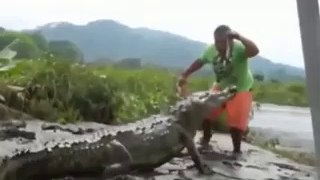 Crocodile vs Man Attack 2017 Animal Attacks.