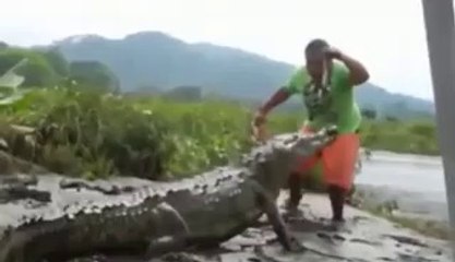 Crocodile vs Man Attack 2017 Animal Attacks.