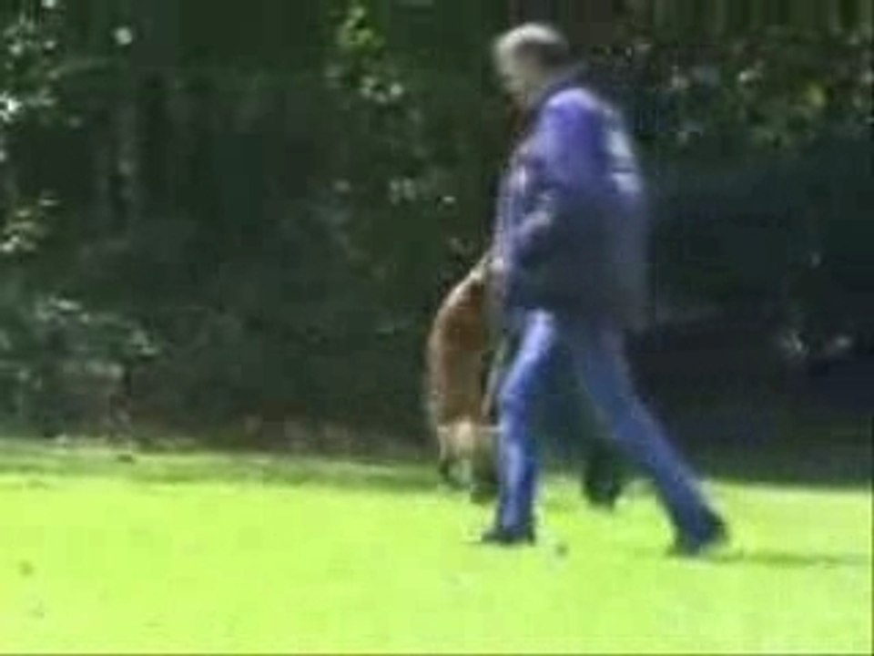 Oefen2007werp