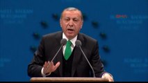 Erdoğan Kandil'dekiler, Pkk, Fetö 'Hayır' Diyor 'Hayır' Diye Aldatılanlar Ne Anlama Geliyor -5