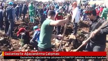 Gaziantep'te Ağaçlandırma Çalışması