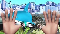 Shark Vs Piranha (Fish) Finger Family Rhymes| Animals Cartoons Finger Family Collection Fi