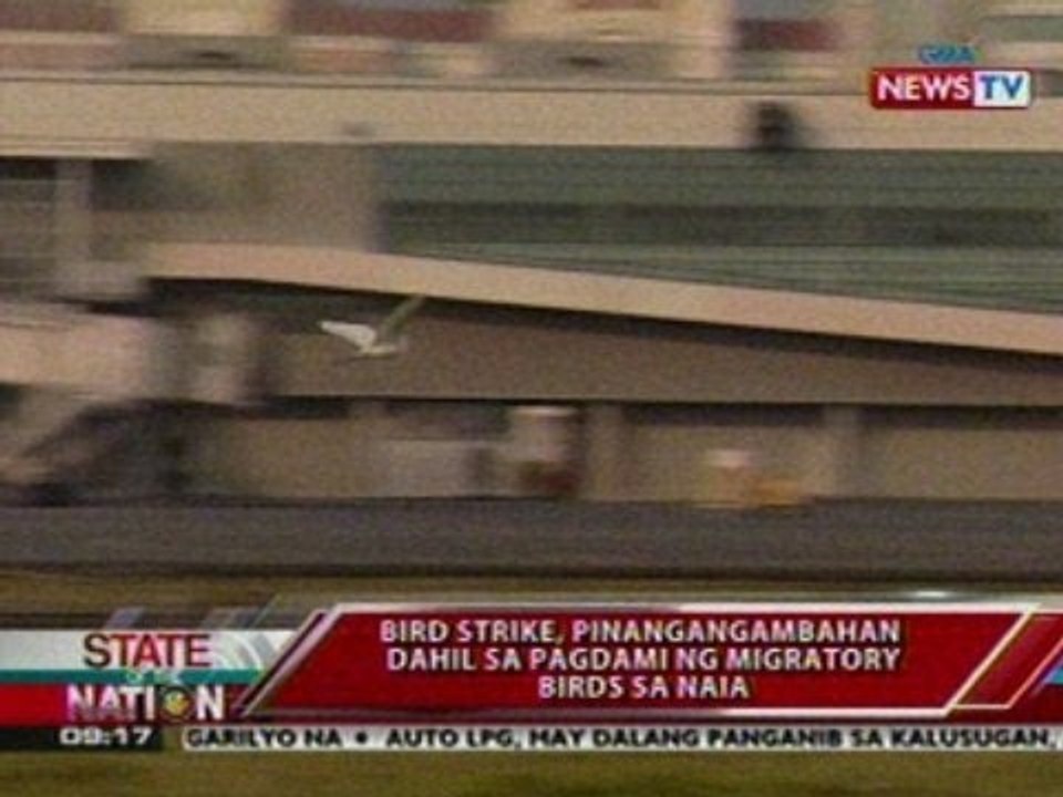 SONA: Bird strike, pinangangambahan dahil sa pagdami ng migratory birds sa NAIA