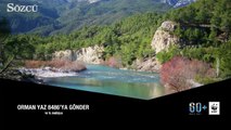 Haluk Levent’ten Akdeniz Ormanları için bağış çağrısı