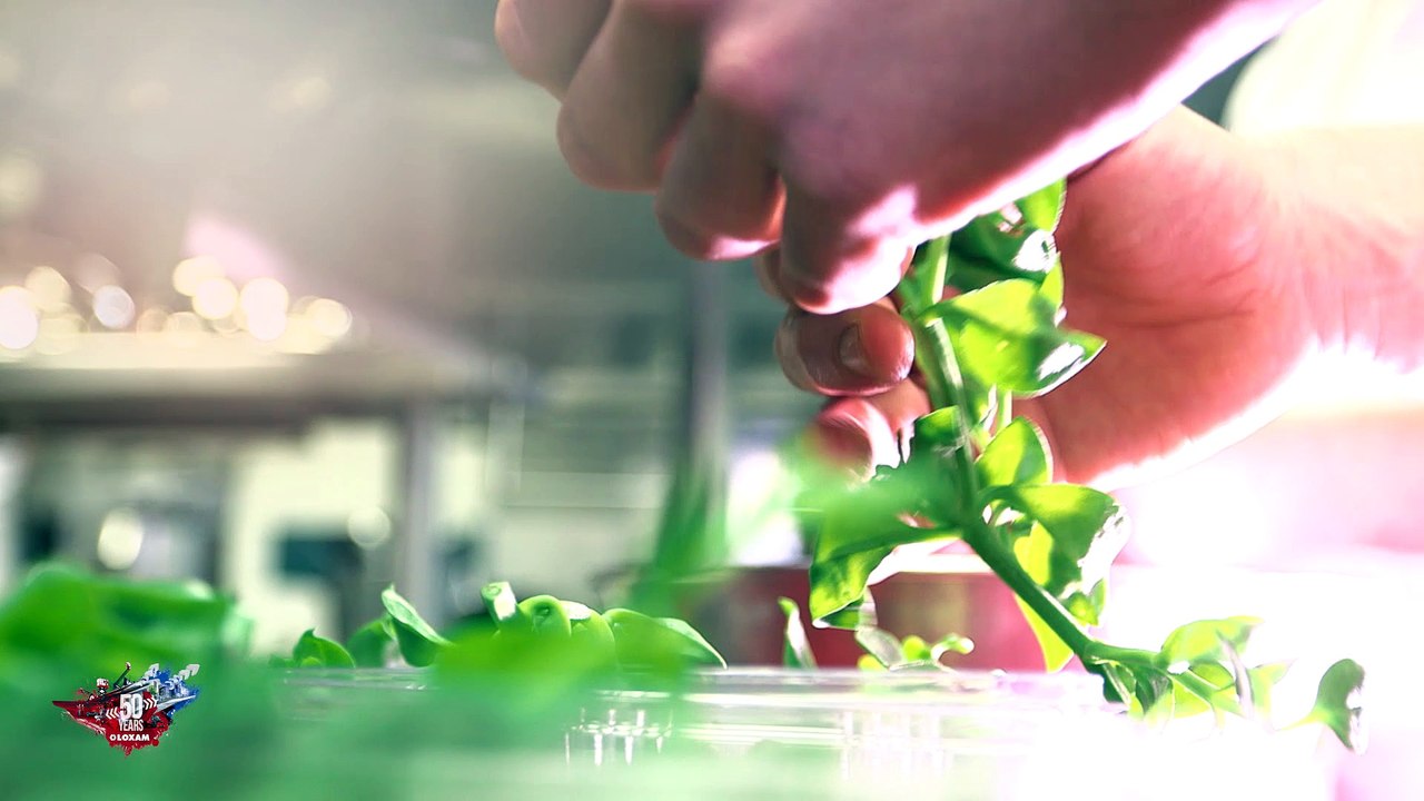 Loxam a 50 ans - Invitation dîner de gala par Michel Roth, ex-Chef des cuisines de l’Hôtel Ritz Paris, Bocuse d’Or et Meilleur Ouvrier de France