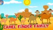 Животные мультфильмы Дети Семья палец для питомник рифмы |