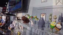SECRET LIFE of PETS Movie TOYS Toy Fair 2016, Best Friend Max, Gidget, Snowball & Mel-ji-a