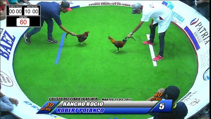 [Coliseo JK] 5 del 21-03-17