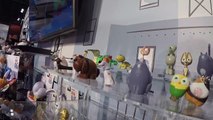 SECRET LIFE of PETS Movie TOYS Toy Fair 2016, Best Friend Max, Gidget, Snowball & Mel-ji-aT1