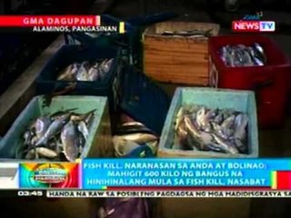 BP: Fish kill, naranasan sa Anda at Bolinao, Pangasinan
