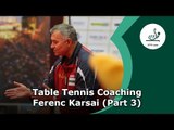 Table Tennis Coaching Session Ferenc Karsai - Part 3