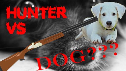 How to train your dog. Dog barking and disobeying.