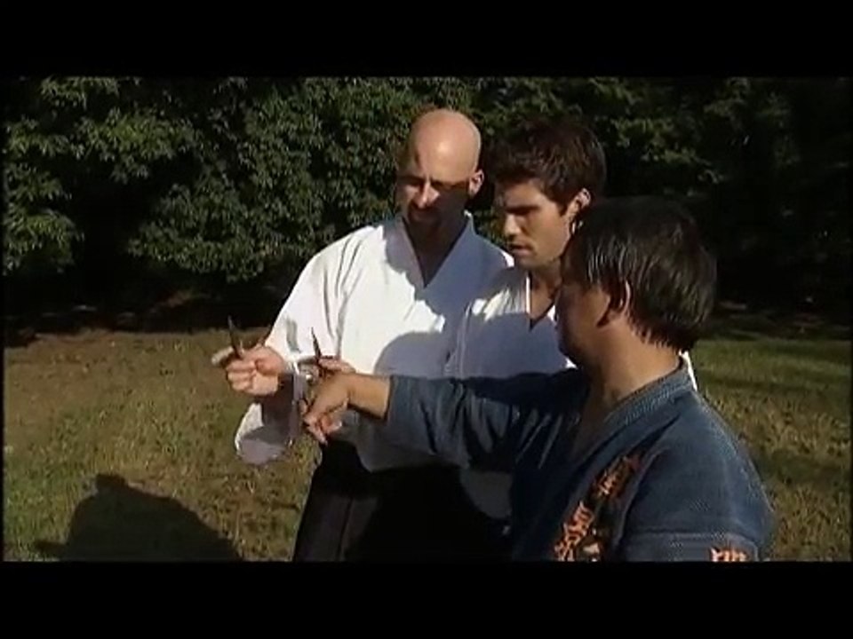 ninjitsu japan