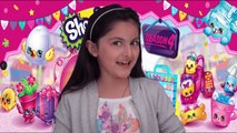 Shopkins Tag Challenge!  Shopkins Season 5   Shopkins DIY! CookieSwirlC-2k4Q0dbdv