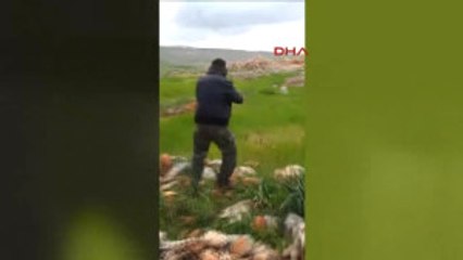 Adana Daeş'ın Üst Düzey Yöneticisi Adana'da Yakalandı