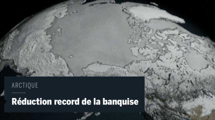 La banquise de l'Arctique n'a jamais été observée si réduite