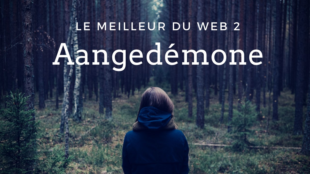 le meilleurs du web 2 ★ vidéo google ★