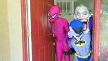 Joker vs Joker Girl! w_ Pink Spidergirl & Batman - Spiderman vs T Rex - Funny Superheroes  -)-nrGKuGf