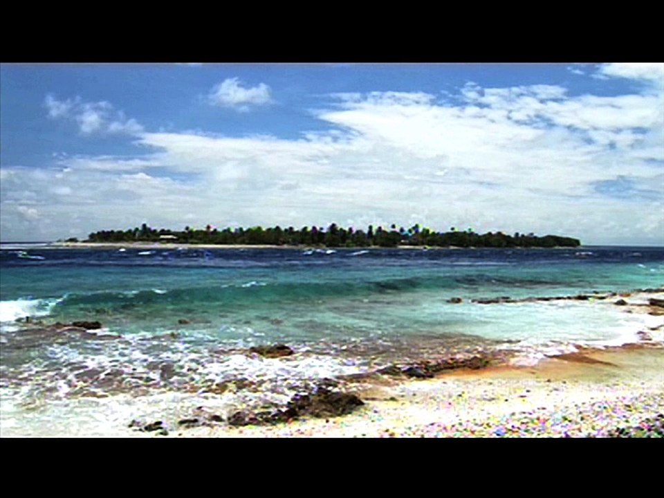 POLYNESIE REQUINS RANGIROA
