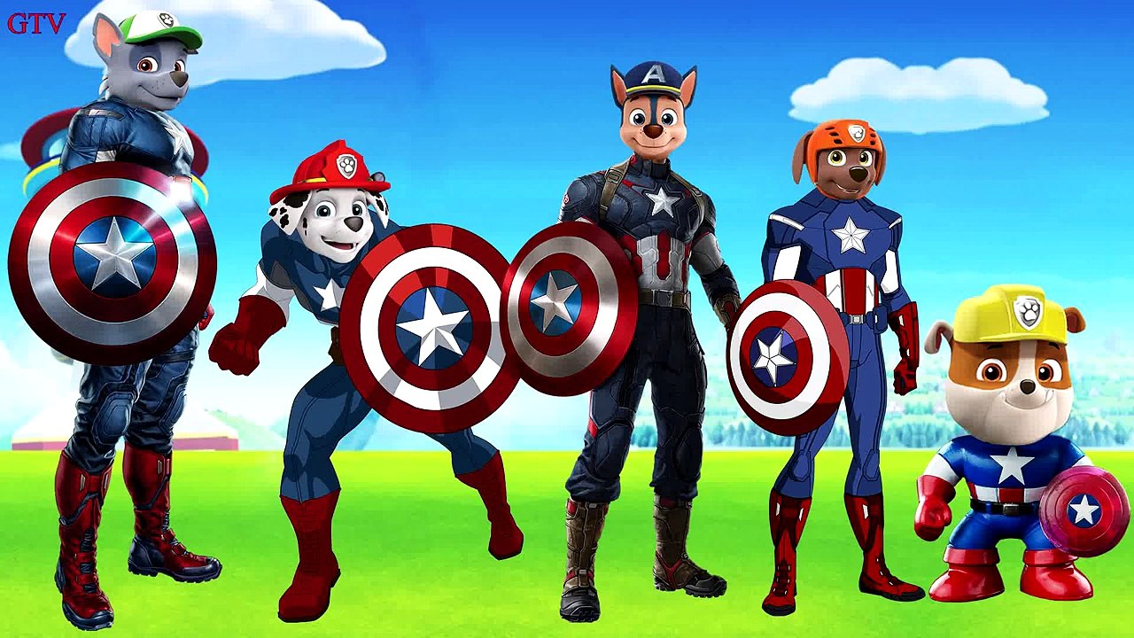 Paw Patrol Captain America Collection Finger Family - Daddy Finger Family Nursery Rhymes L