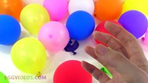 Learn Colors with 20 Colorful Balloons Popping Show Educational Video for Toddlers EggVide