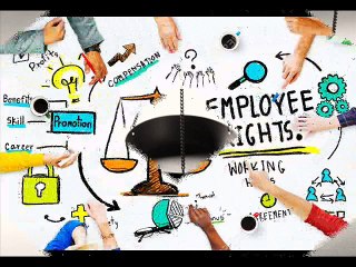 Figari Law Firm Committed to help Employees | Laywers