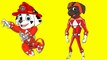 Coloring Pages Paw Patrol Transforms Into Power Rangers Superheroes Coloring Book for chil