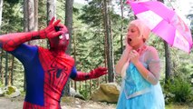 Spiderman Poisoned vs Maleficent! Spider-Man Loses Become Undead w/ Frozen Elsa & Hulk Sup