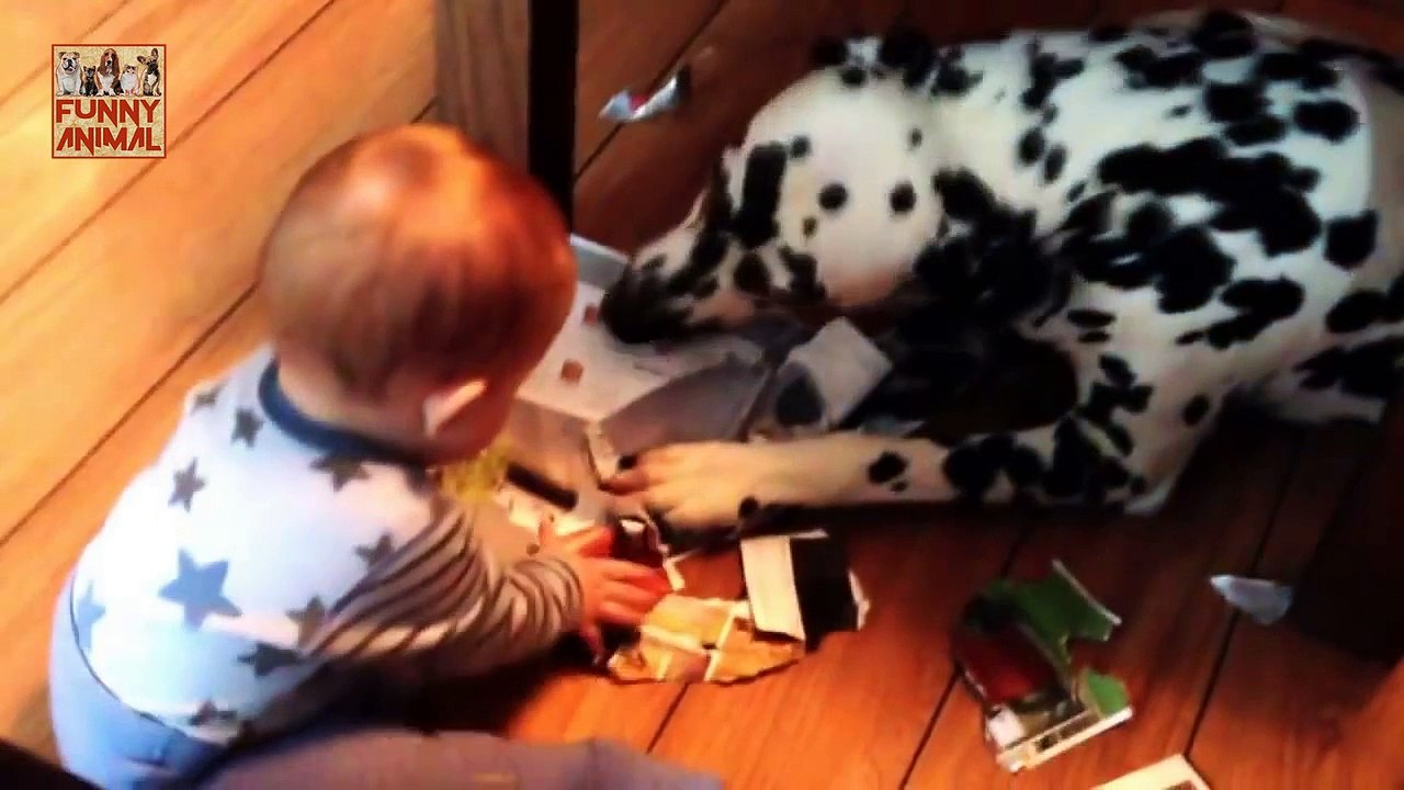 New Babies Laughing at Dogs - Los bebés que ríen de los perros