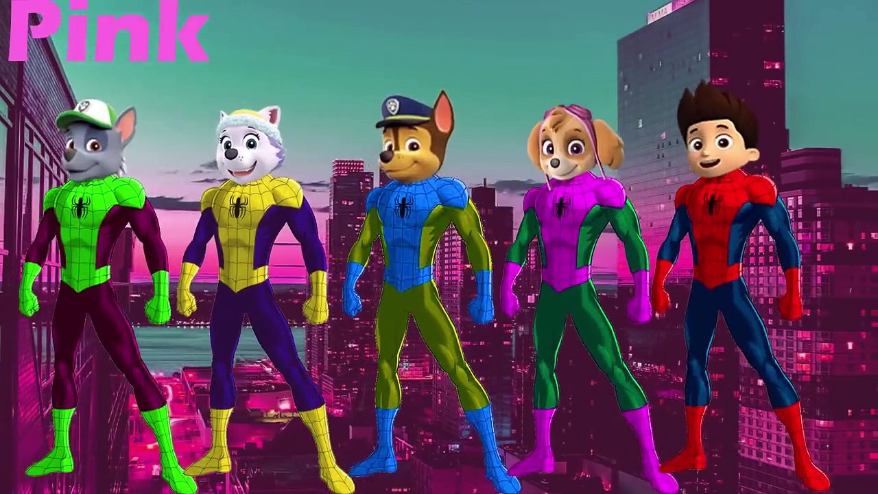 Paw Patrol Spiderman Finger Family Coloring Song Nursery Rhymes Songs- Baby Songs Online