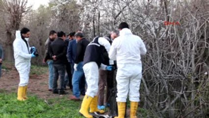 Adıyaman'da Derede Kadın Cesedi Bulundu