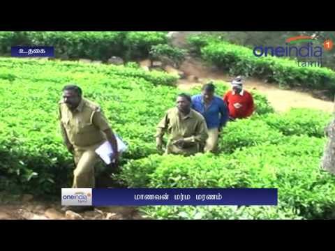 A student dead mysteriously in Coonoor | குன்னூரில் +2 முடித்த மாணவர் மர்மமான முறையில் மரணம்