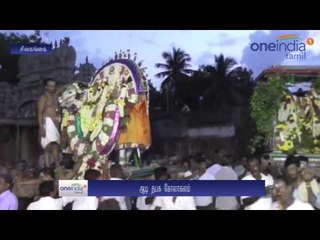 மானாமதுரை கோயிலில் ஆடித்தபசு திருவிழா... பக்தர்கள் பரவசம்- வீடியோ